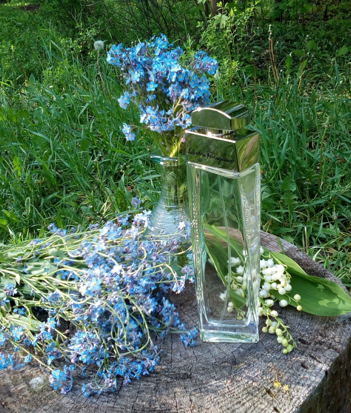 عطر ادکلن سالواتوره فراگامو پور فم سالواتوره فراگامو - Salvatore Ferragamo pour Femme Salvatore Ferragamo - بررسی، قیمت و خرید