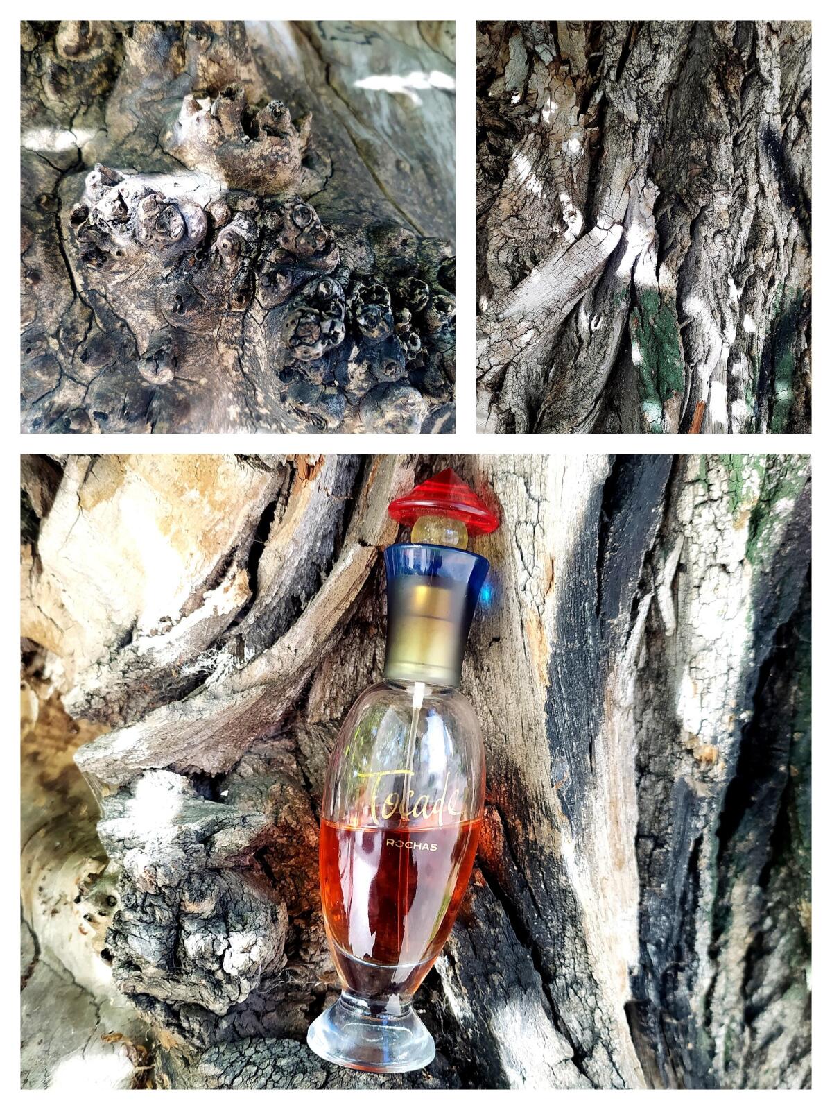 عطر ادکلن توکاد روچاس - Tocade Rochas - بررسی، قیمت و خرید