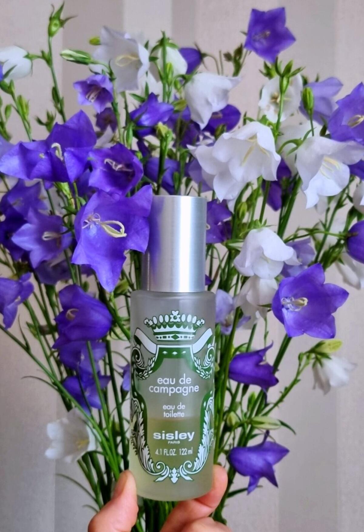 عطر ادکلن اُ دُ کامپاگن سیسلی - Eau de Campagne Sisley - بررسی، قیمت و خرید