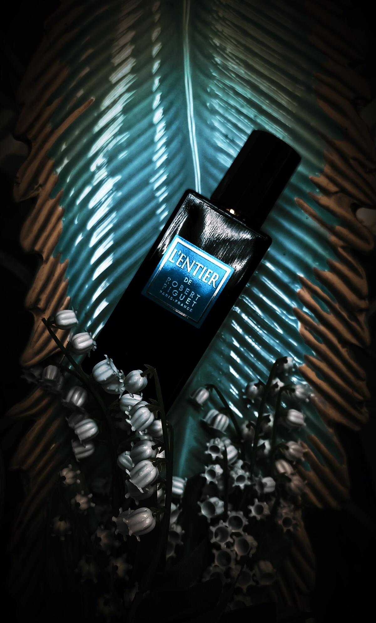 عطر ادکلن لنتیر رابرت پیگه - L'Entier Robert Piguet - بررسی، قیمت و خرید