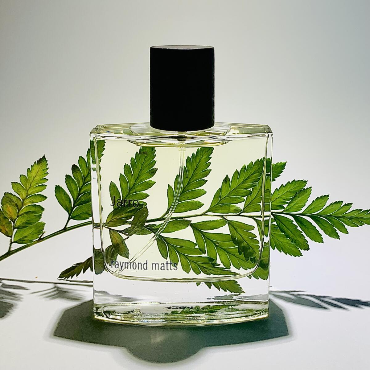 عطر ادکلن جارو رِیموند مَتز - Jarro Raymond Matts - بررسی، قیمت و خرید