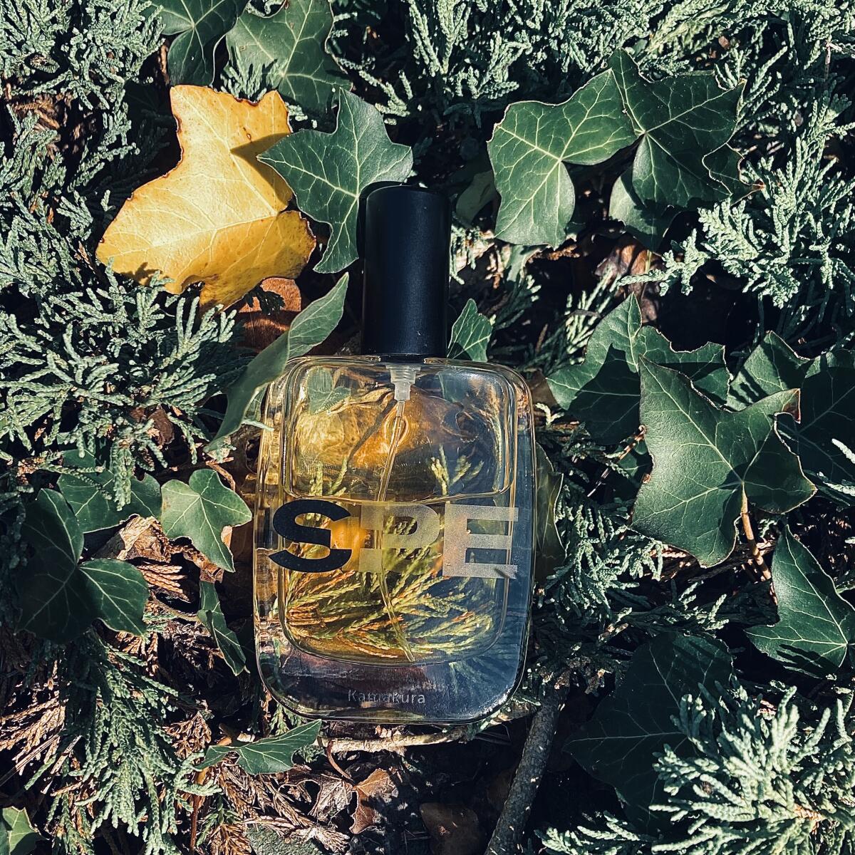 عطر ادکلن کاماکورا اس پرفیوم - Kamakura S-Perfume - بررسی، قیمت و خرید