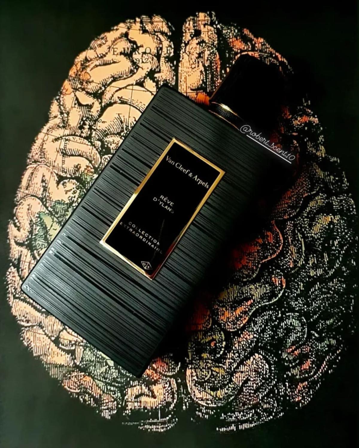 عطر ادکلن رو دیلانگ ون کلیف اند آرپلز - Rêve D'Ylang Van Cleef & Arpels - بررسی، قیمت و خرید