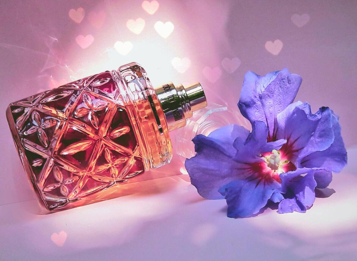 عطر ادکلن فلورانس روبِرتو کاوالی - Florence Roberto Cavalli - بررسی، قیمت و خرید