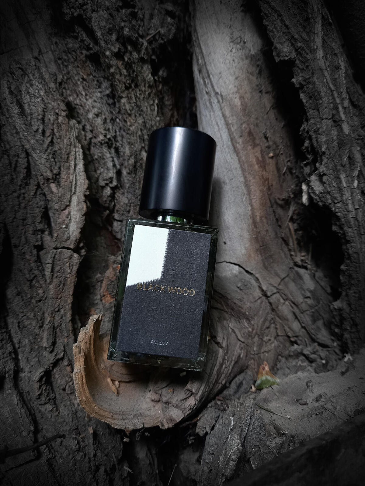 عطر ادکلن کیس استادی نامبر فور بلک وود ربو - Case Study #4 Black Wood RboW - بررسی، قیمت و خرید