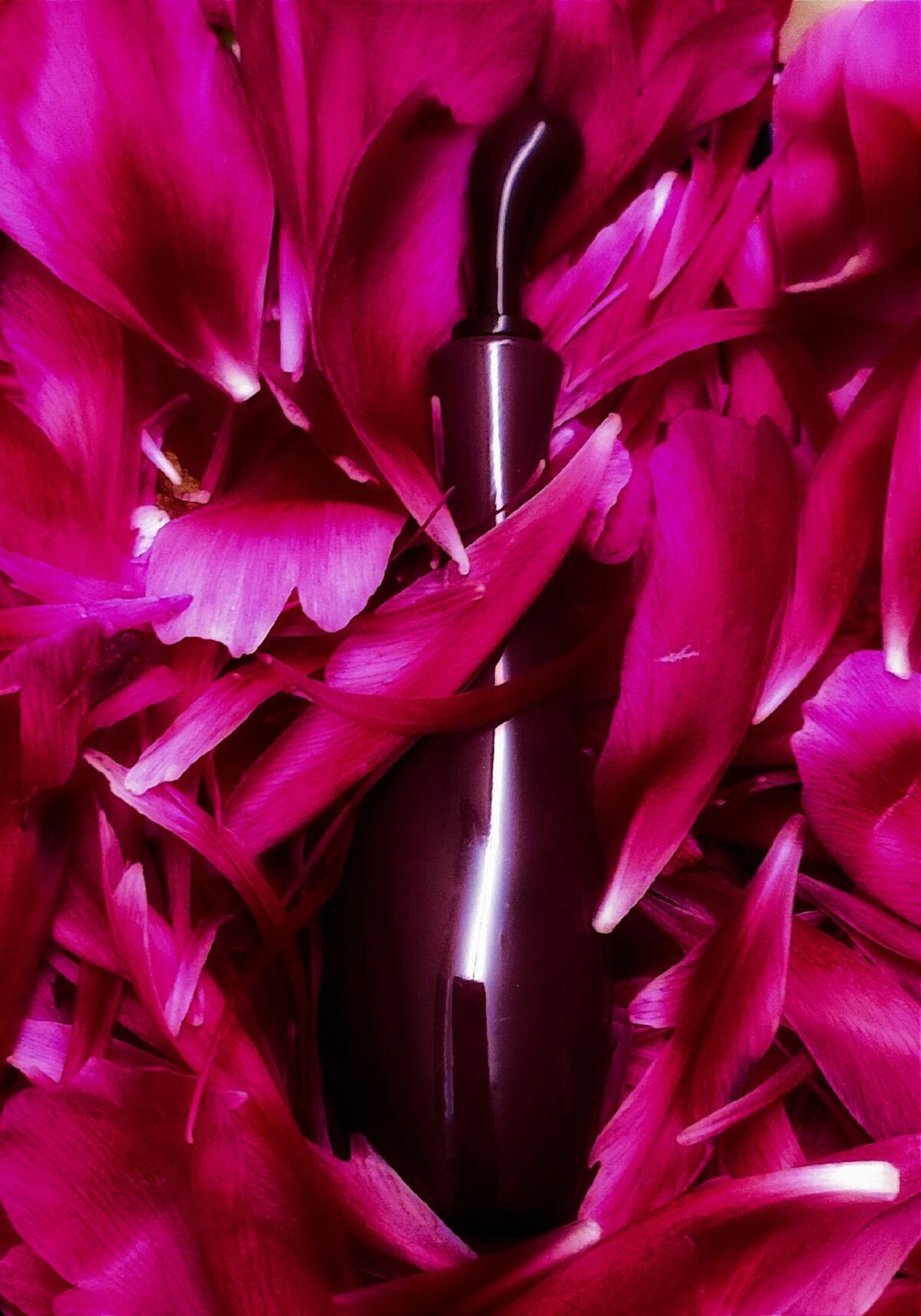 عطر ادکلن فمنیت دو بوا شیسیدو - Feminite du Bois Shiseido - بررسی، قیمت و خرید