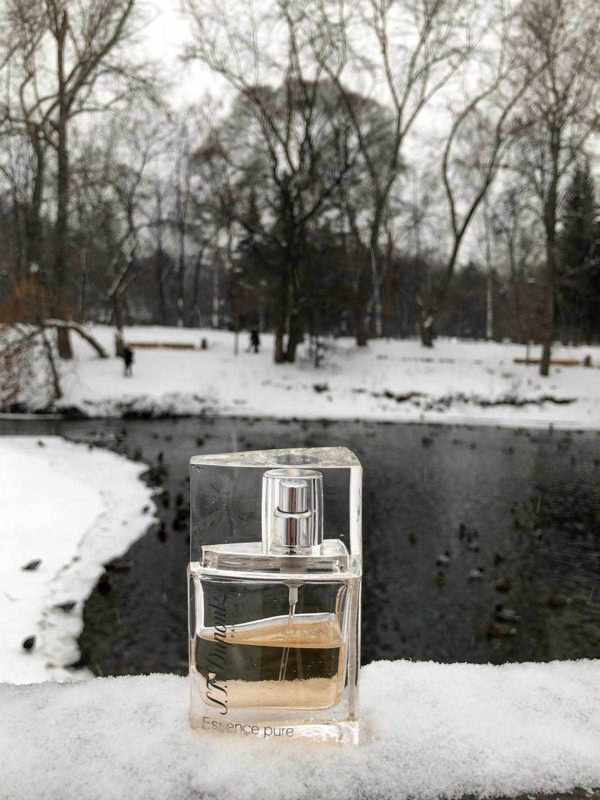 عطر ادکلن اسنس پیور پور فم اس تی دوپونت - Essence Pure Pour Femme S.T. Dupont - بررسی، قیمت و خرید