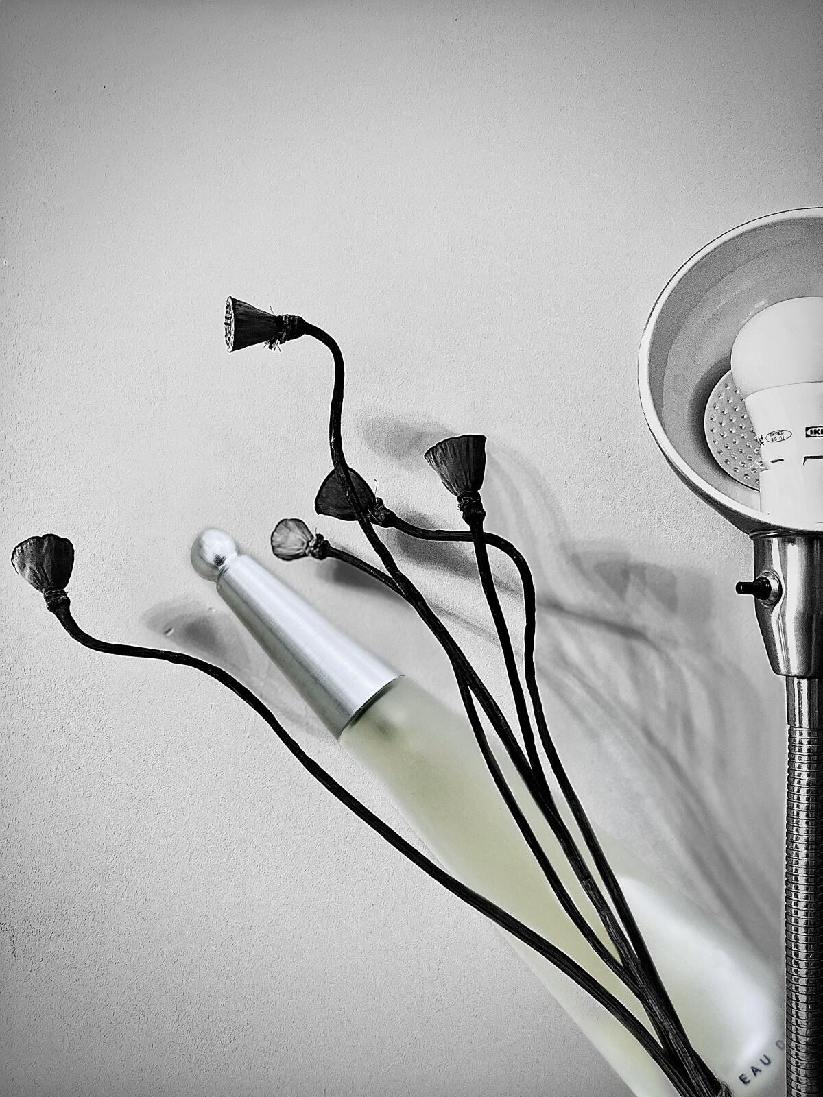 عطر ادکلن لو دیسی ایسه میاکه - L'eau d'Issey Issey Miyake - بررسی، قیمت و خرید