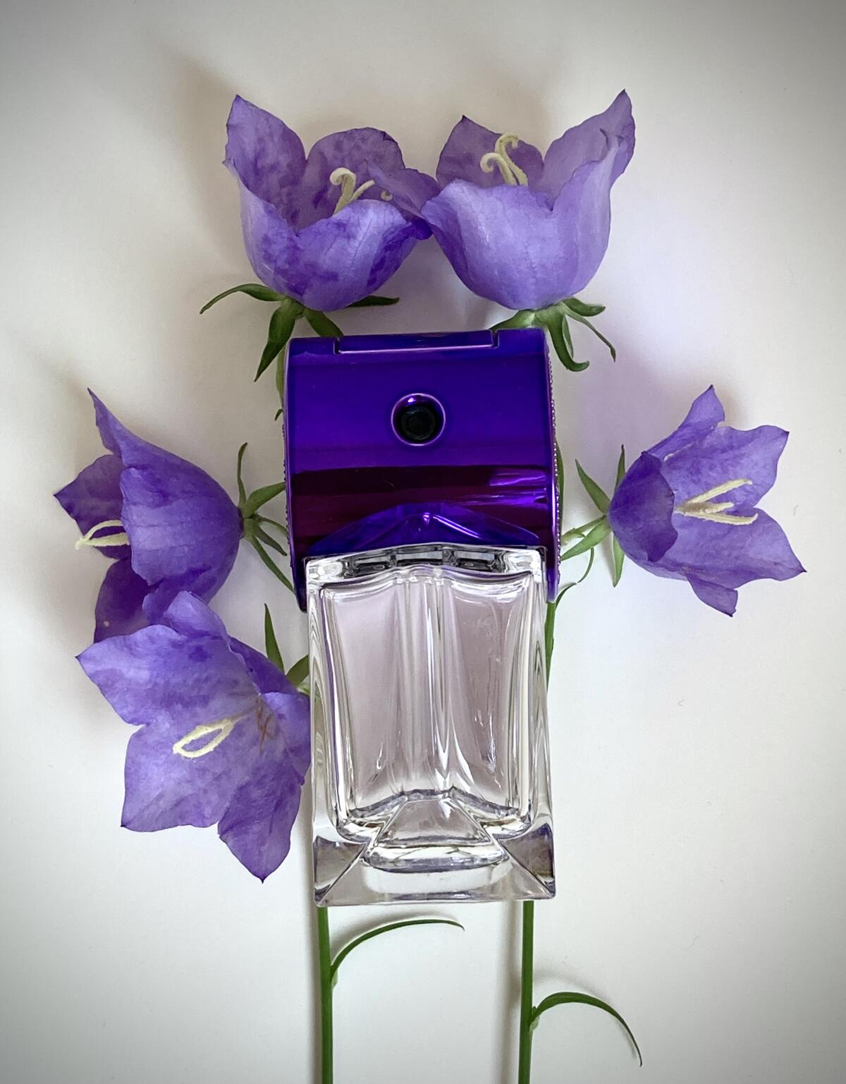 عطر ادکلن پاپ بلوابل استلا مک‌کارتنی - Pop Bluebell Stella McCartney - بررسی، قیمت و خرید