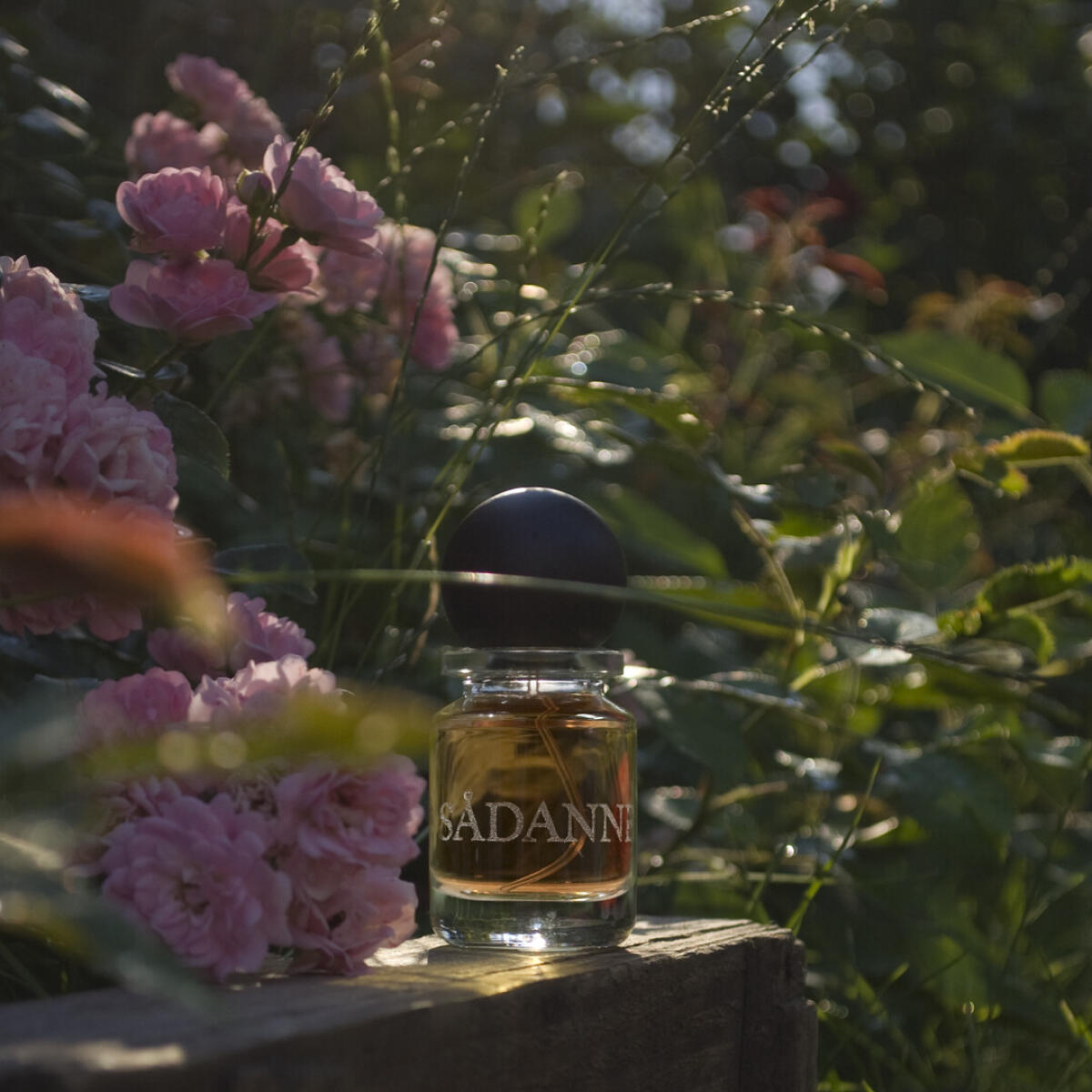 عطر ادکلن سدَن اسلمبرهاوس - Sadanne Slumberhouse - بررسی، قیمت و خرید
