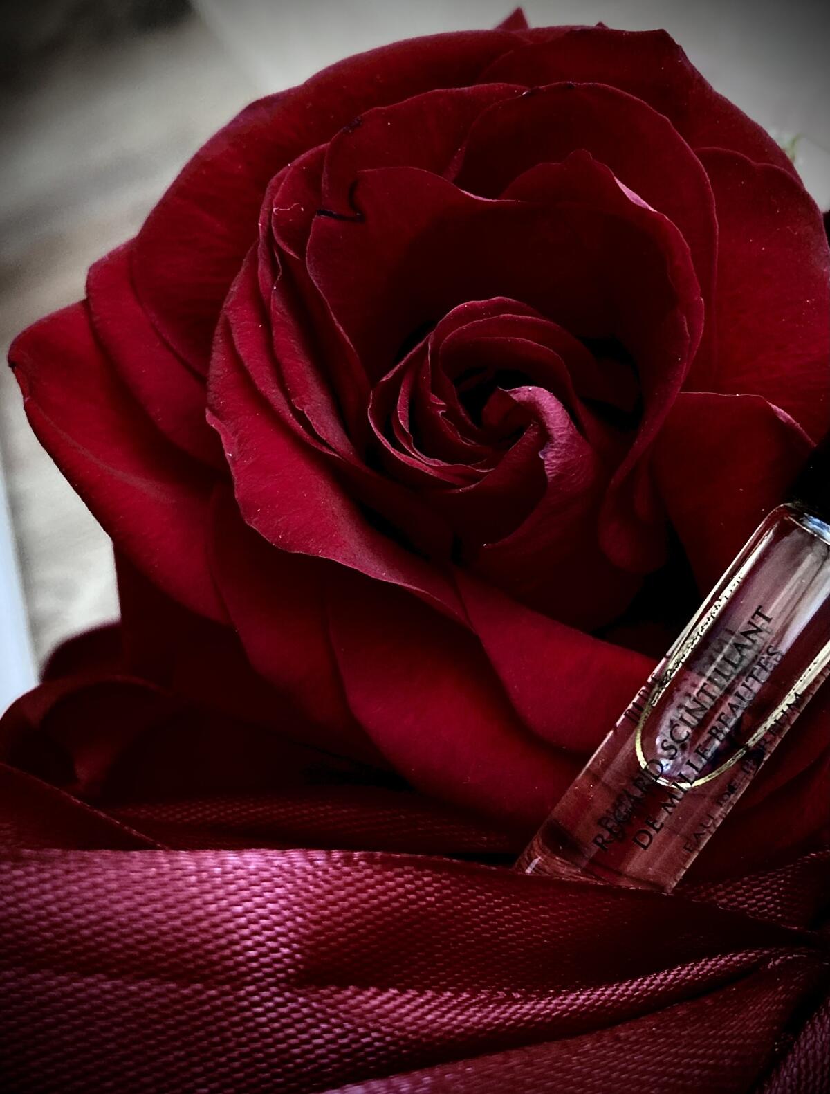 عطر ادکلن رگارد سَنتیلان دو میل بوتِس سالوادور دالی - Regard Scintillant de Mille Beautes Salvador Dali - بررسی، قیمت و خرید