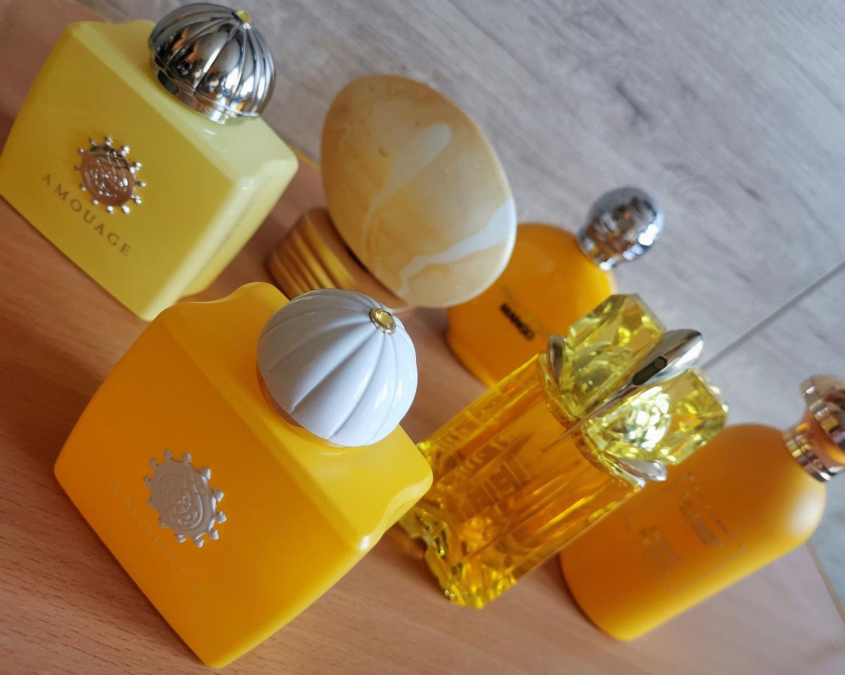 عطر ادکلن منگو مکس فیلیپ - Mango Max Philip - بررسی، قیمت و خرید