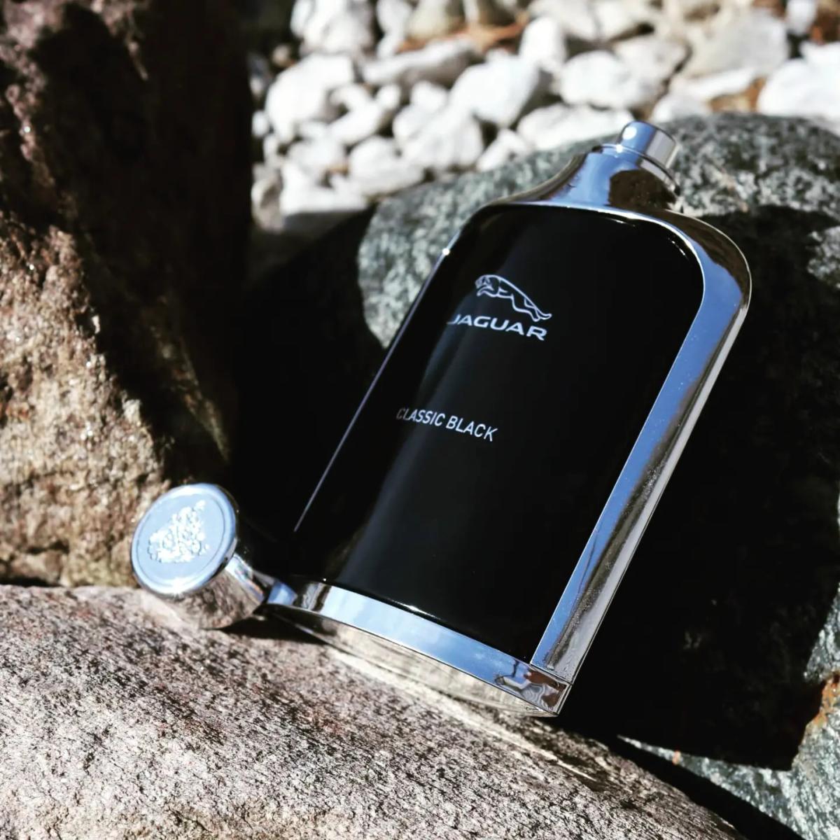 عطر ادکلن جگوار کلاسیک بلک جگوار - Jaguar Classic Black Jaguar - بررسی، قیمت و خرید