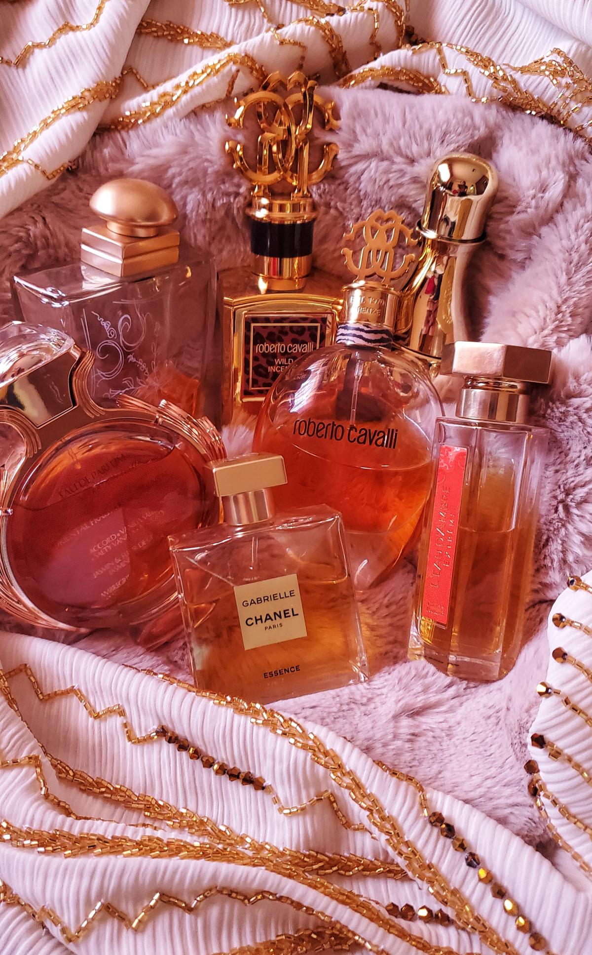 عطر ادکلن وایلد اینسنس روبرتو کاوالی - Wild Incense Roberto Cavalli - بررسی، قیمت و خرید