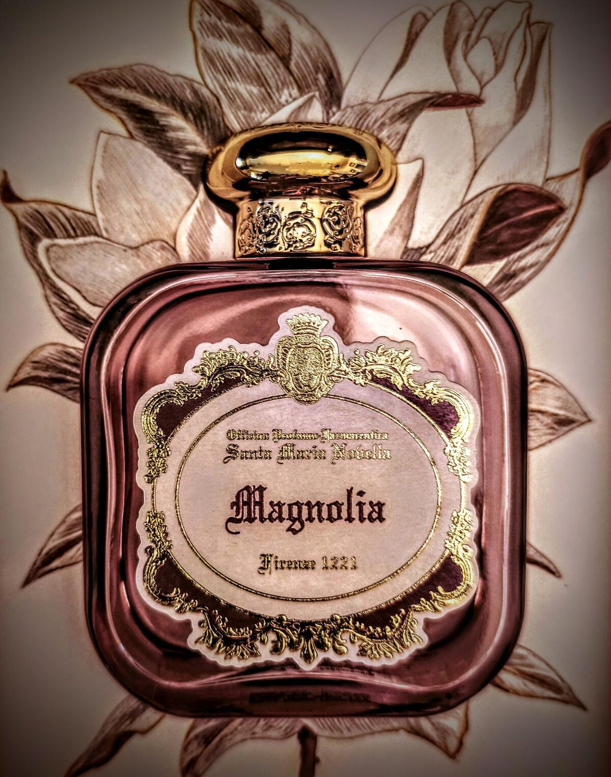 عطر ادکلن مگنولیا سانتا ماریا نوولا - Magnolia (2023) Santa Maria Novella - بررسی، قیمت و خرید