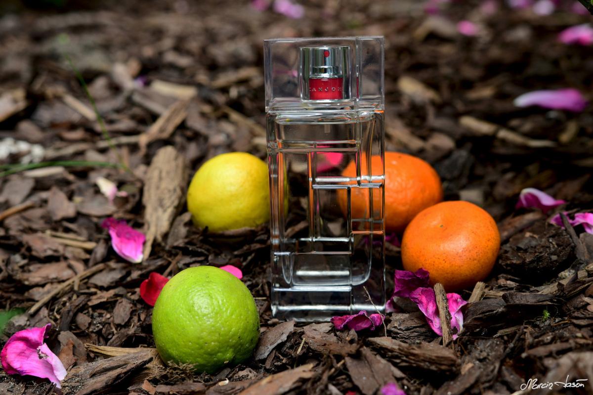 عطر ادکلن سه صبح شان جان - 3 AM Sean John - بررسی، قیمت و خرید