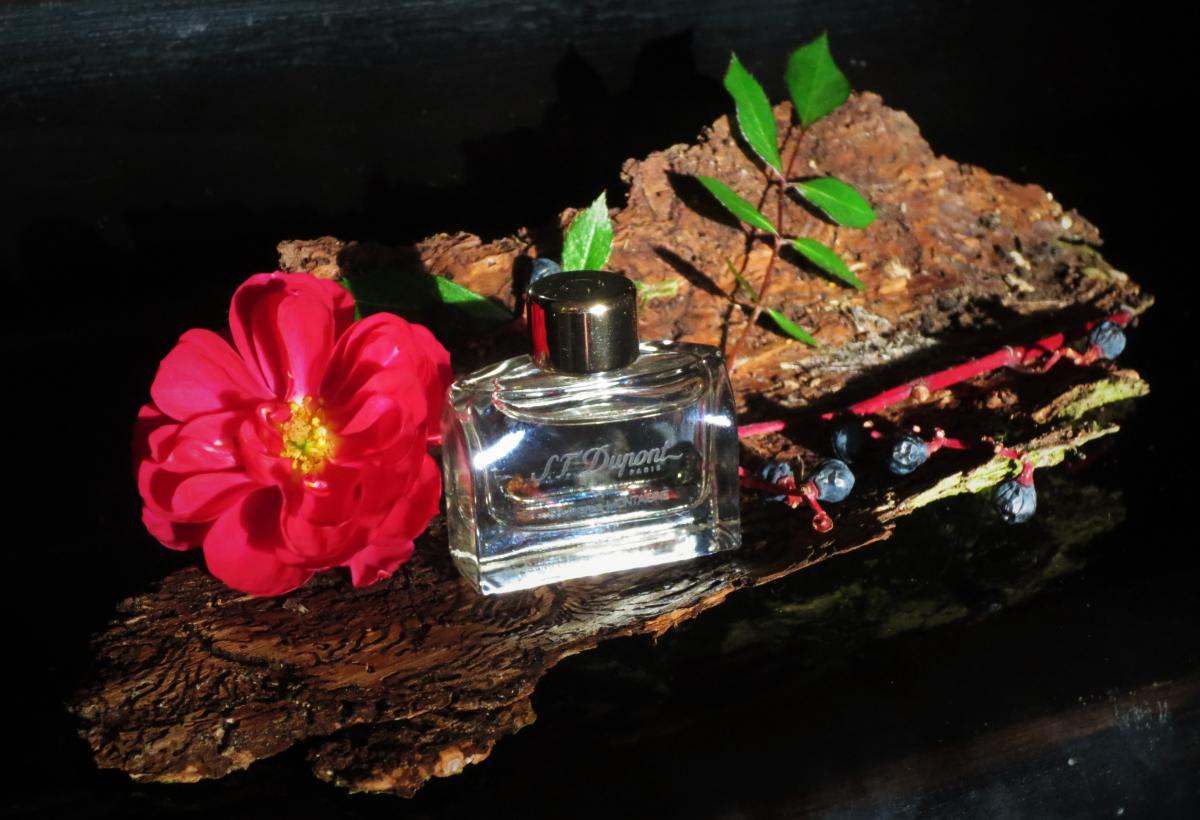 عطر ادکلن ۵۸ اونیو مونتاین پور فم دوپونت - 58 Avenue Montaigne pour Femme S.T. Dupont - بررسی، قیمت و خرید