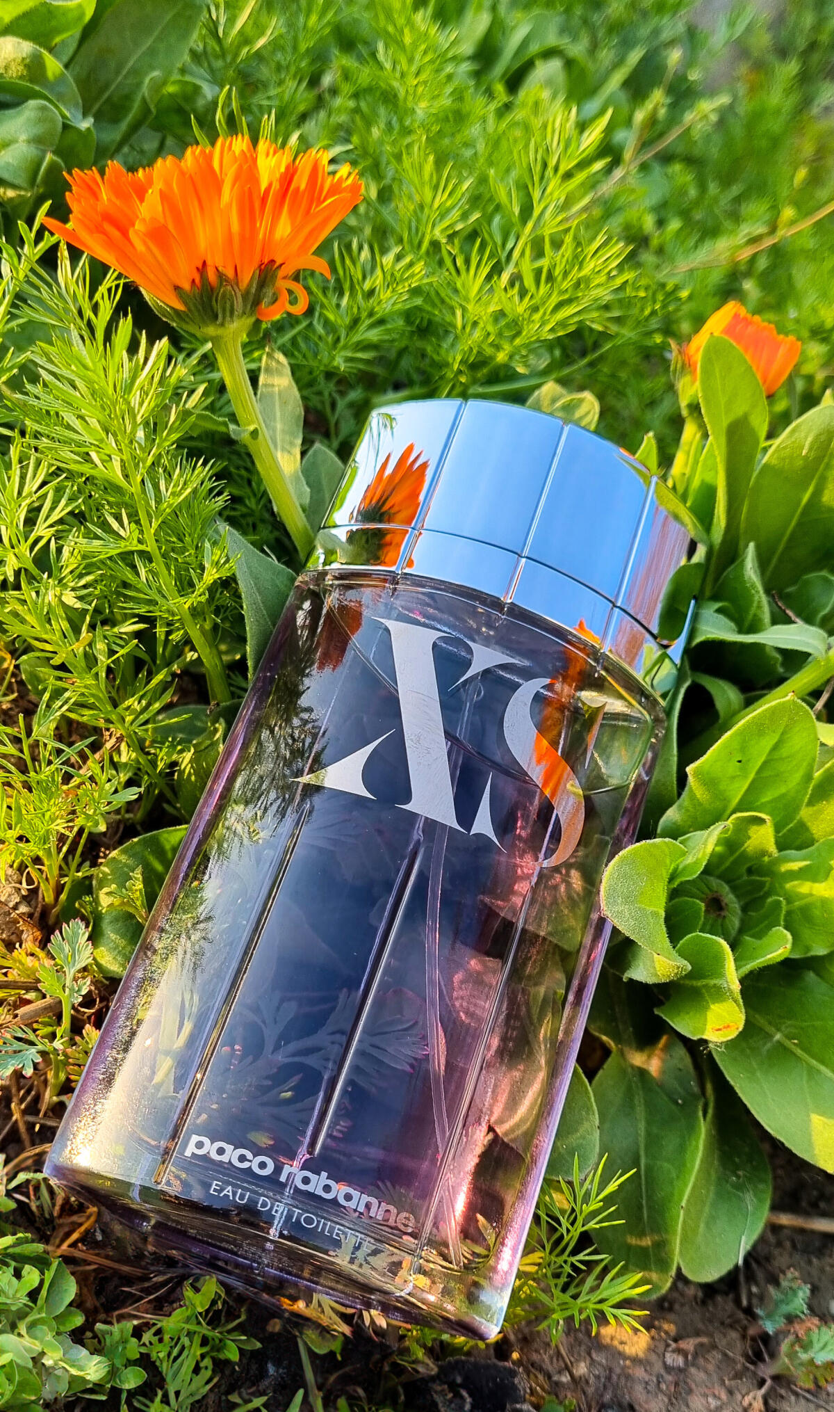 عطر ادکلن ایکس اس رابان - XS (2018) Rabanne - بررسی، قیمت و خرید