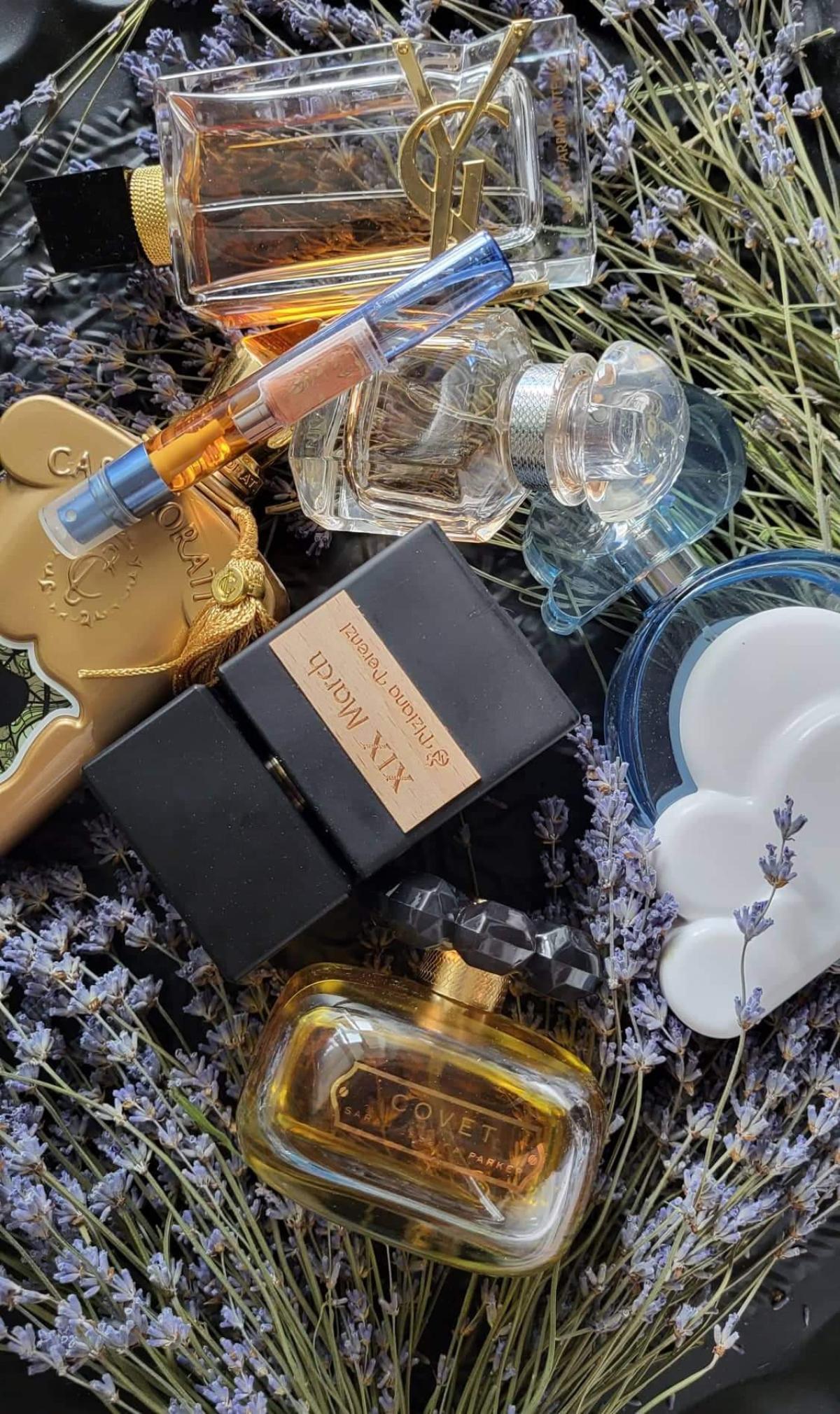 عطر ادکلن نوزده مارس تیزیانا ترنتزی - XIX March Tiziana Terenzi - بررسی، قیمت و خرید