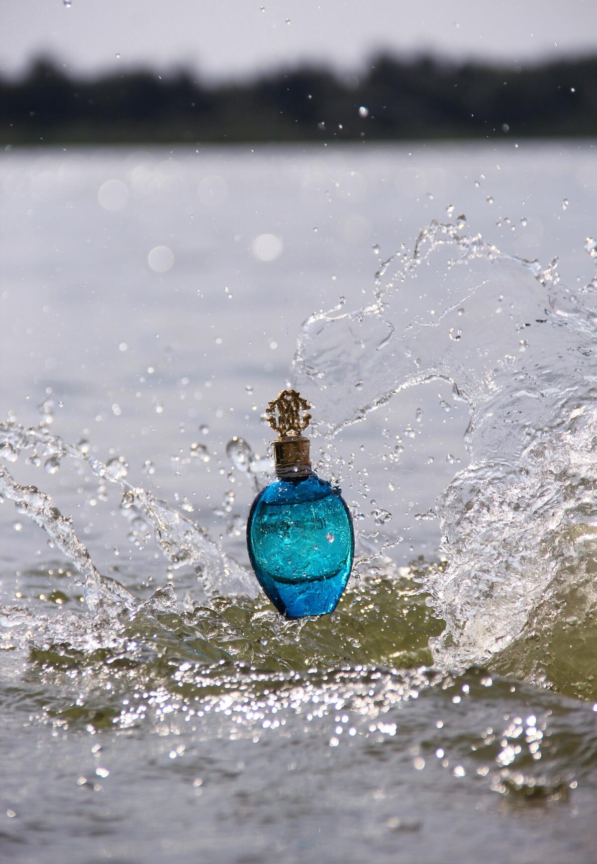 عطر ادکلن رابرتو کاوالی آکوا روبerto کاوالی - Roberto Cavalli Acqua Roberto Cavalli - بررسی، قیمت و خرید