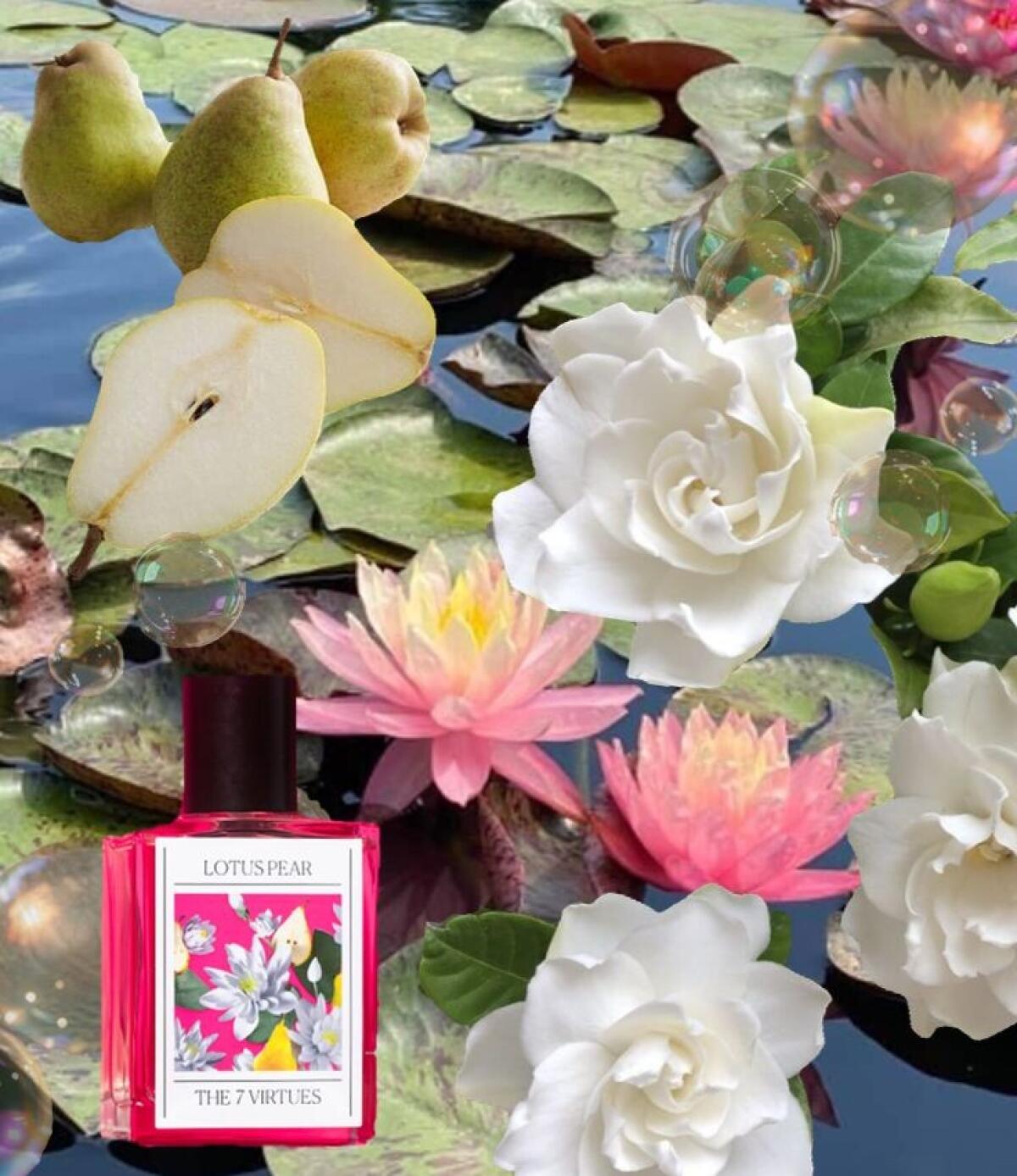 عطر ادکلن لوتوس پیر د سون ویرچوز - Lotus Pear The 7 Virtues - بررسی، قیمت و خرید