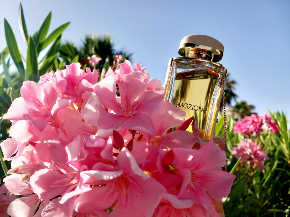 عطر ادکلن اِموتسیونه سالواتوره فراگامو - Emozione Salvatore Ferragamo - بررسی، قیمت و خرید