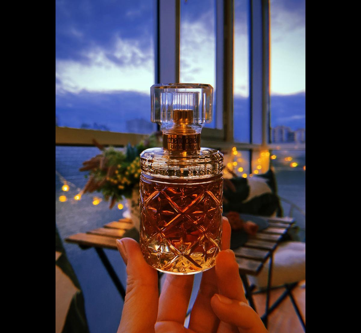 عطر ادکلن فلورنس آمبر روبرتو کاوالی - Florence Amber Roberto Cavalli - بررسی، قیمت و خرید