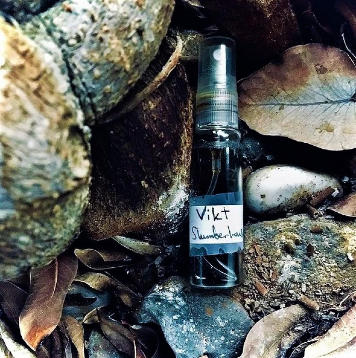 عطر ادکلن ویکت اسلمبرهاوس - Vikt Slumberhouse - بررسی، قیمت و خرید