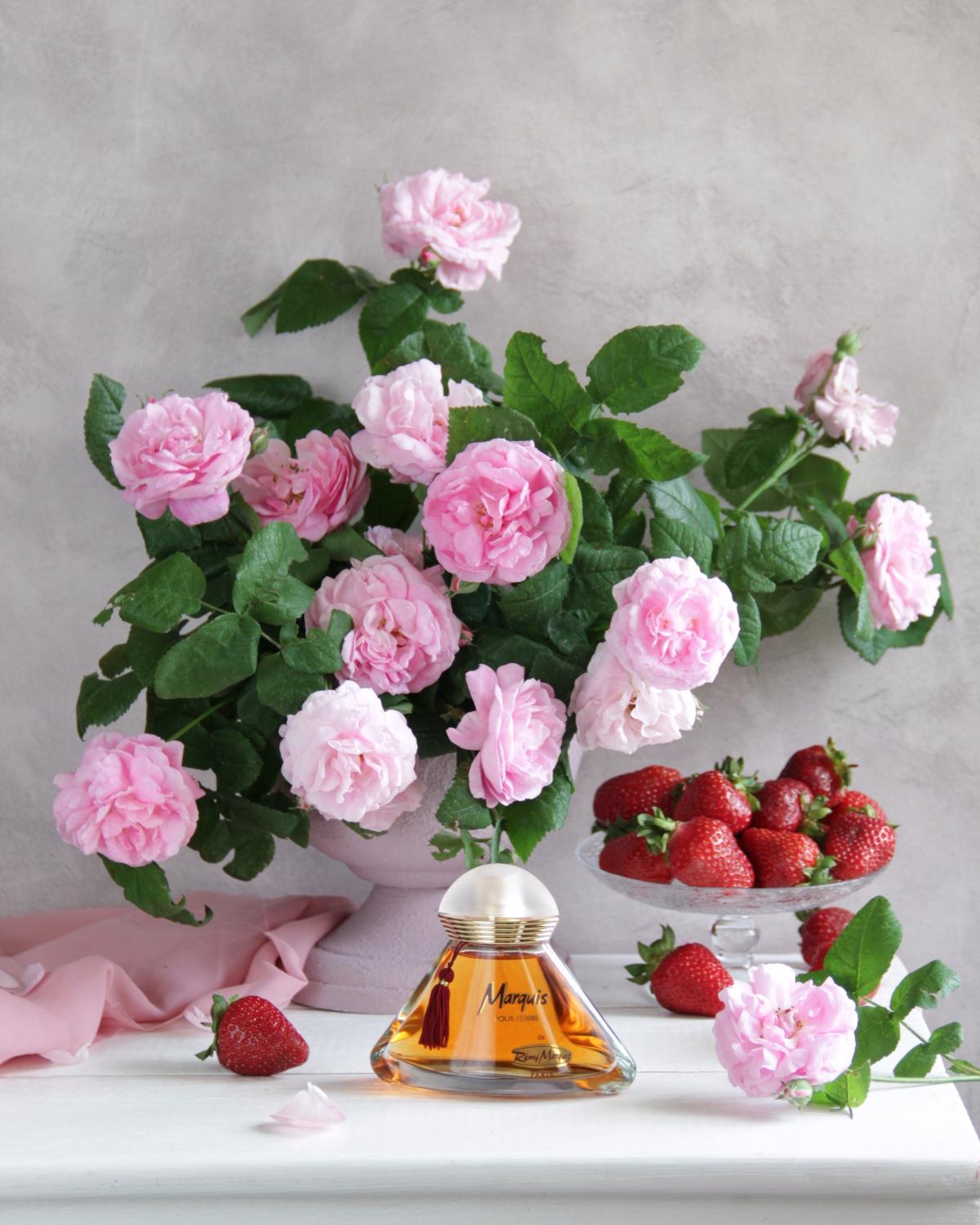 عطر ادکلن مارکی رمی مارکوی - Marquis Remy Marquis - بررسی، قیمت و خرید