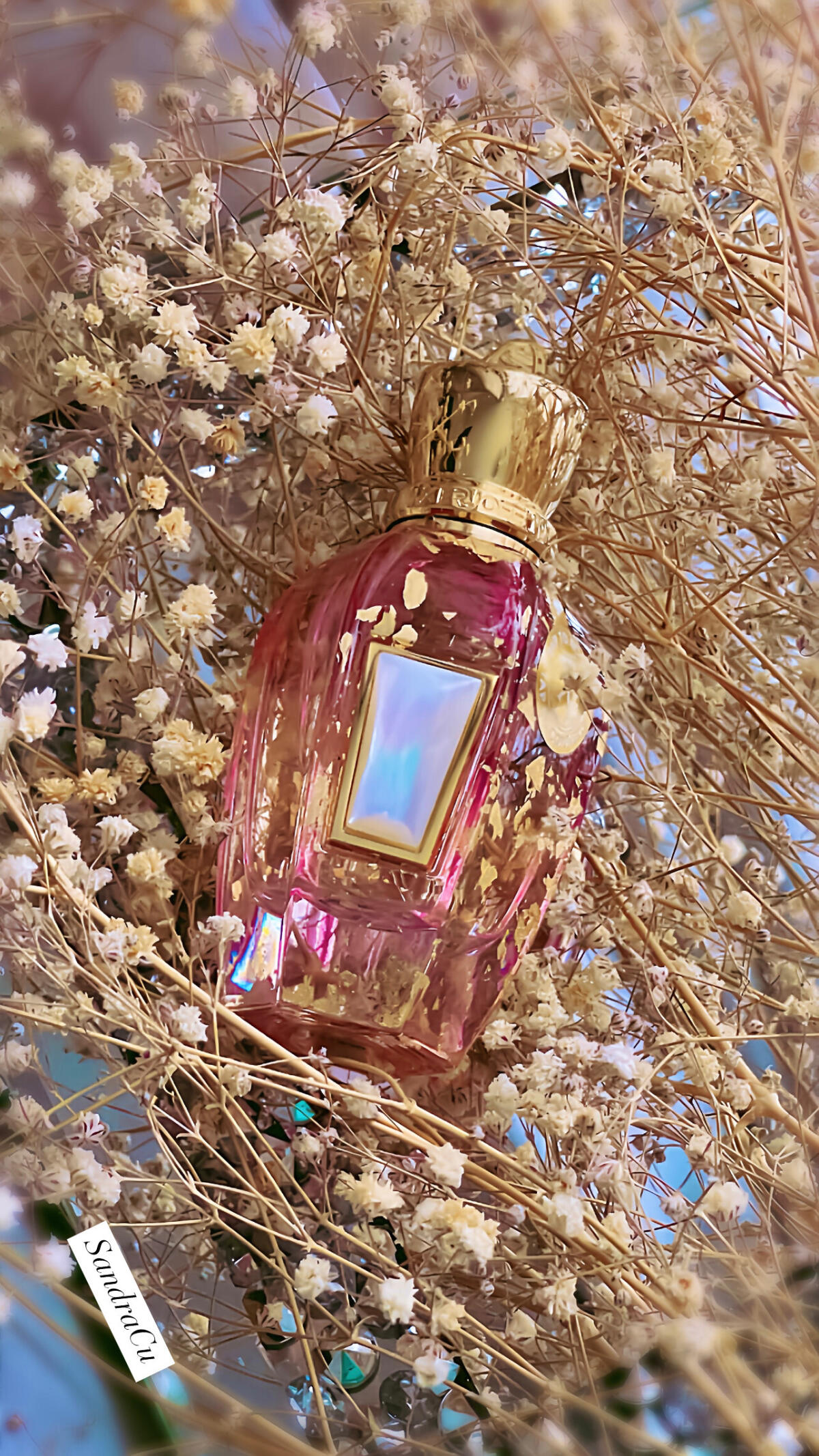 عطر ادکلن ال انیورسری زرژاف - Elle Anniversary Xerjoff - بررسی، قیمت و خرید