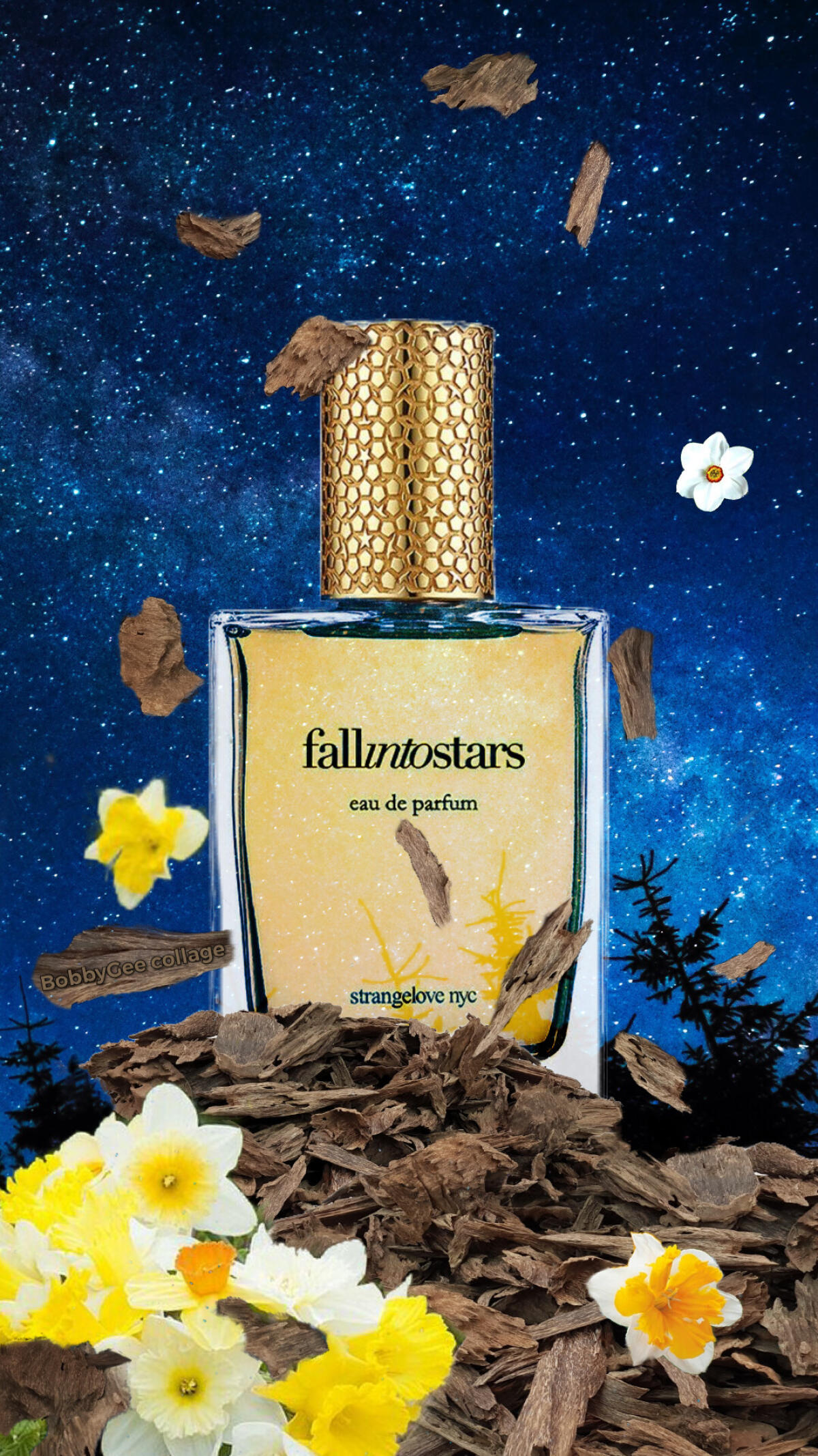 عطر ادکلن فال اینتو استارز استرینج لاو نیویورک - Fall Into Stars Strangelove NYC - بررسی، قیمت و خرید