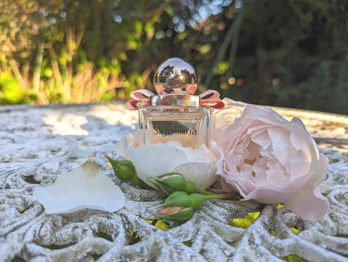 عطر ادکلن سینیورینا سالواتوره فراگامو - Signorina Salvatore Ferragamo - بررسی، قیمت و خرید
