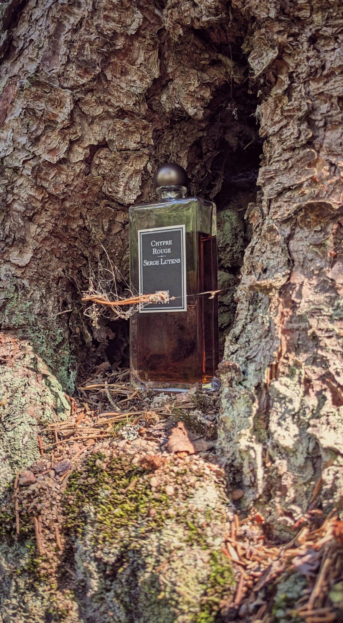 عطر ادکلن شیپر روژ سرژ لوتنز - Chypre Rouge Serge Lutens - بررسی، قیمت و خرید