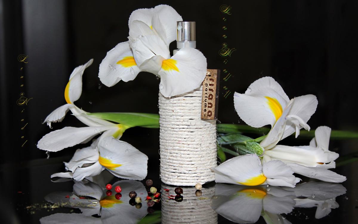 عطر ادکلن آیریس امبرت ریرانا پرفیوم - Iris Ambrette Rirana Parfume - بررسی، قیمت و خرید