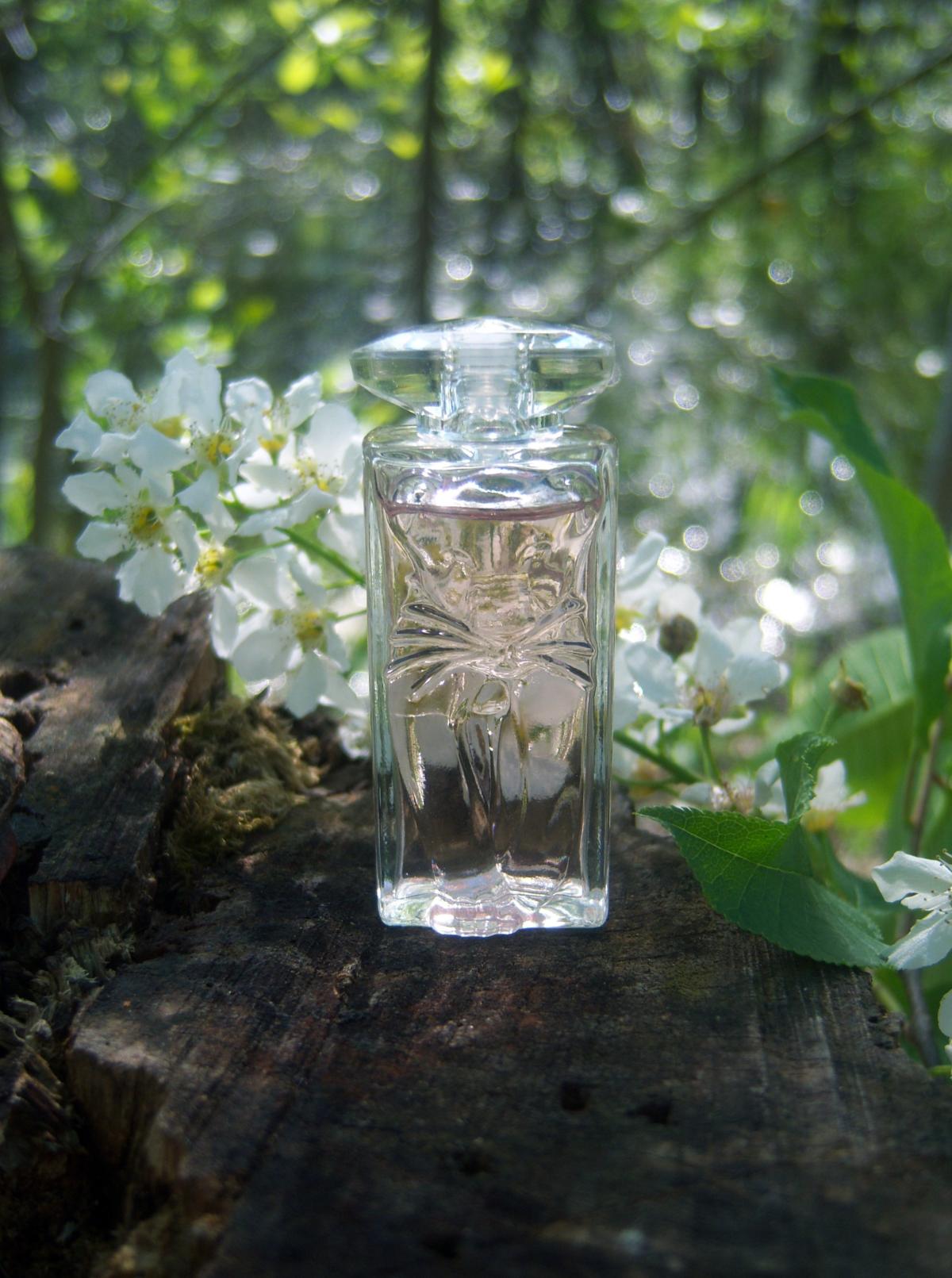 عطر ادکلن لابل او د تویلت سالوادور دالی - La Belle et l'Ocelot Eau de Toilette Salvador Dali - بررسی، قیمت و خرید