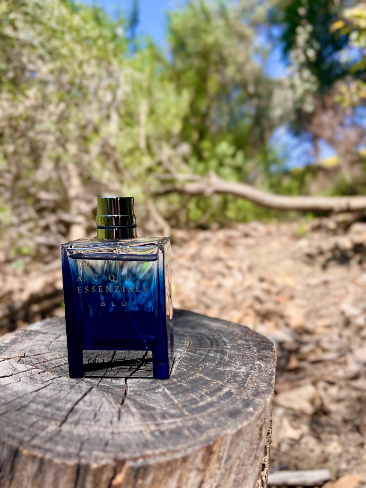 عطر ادکلن اکوا اسنزیاله بلو سلوتوره فرگامو - Acqua Essenziale Blu Salvatore Ferragamo - بررسی، قیمت و خرید