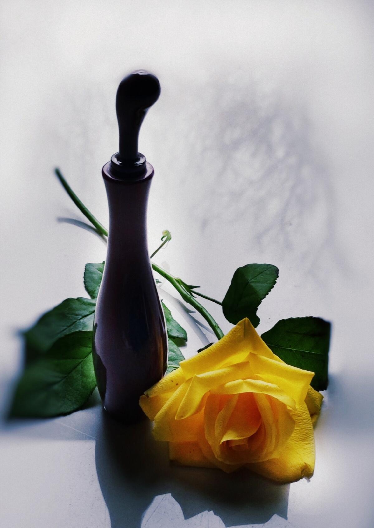 عطر ادکلن فمنیت دو بوا شیسیدو - Feminite du Bois Shiseido - بررسی، قیمت و خرید