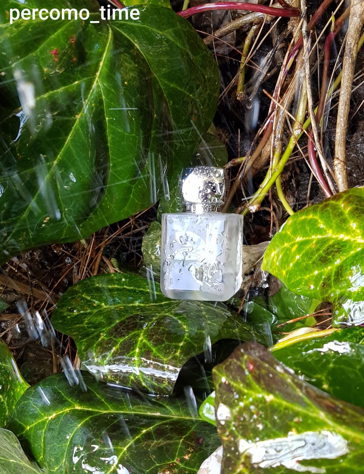 عطر ادکلن چاتویانت روج بانی روج - Chatoyant Rouge Bunny Rouge - بررسی، قیمت و خرید
