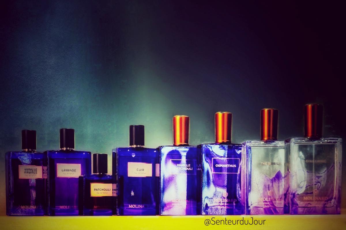 عطر ادکلن ژینژامبر مولینارد - Gingembre Molinard - بررسی، قیمت و خرید