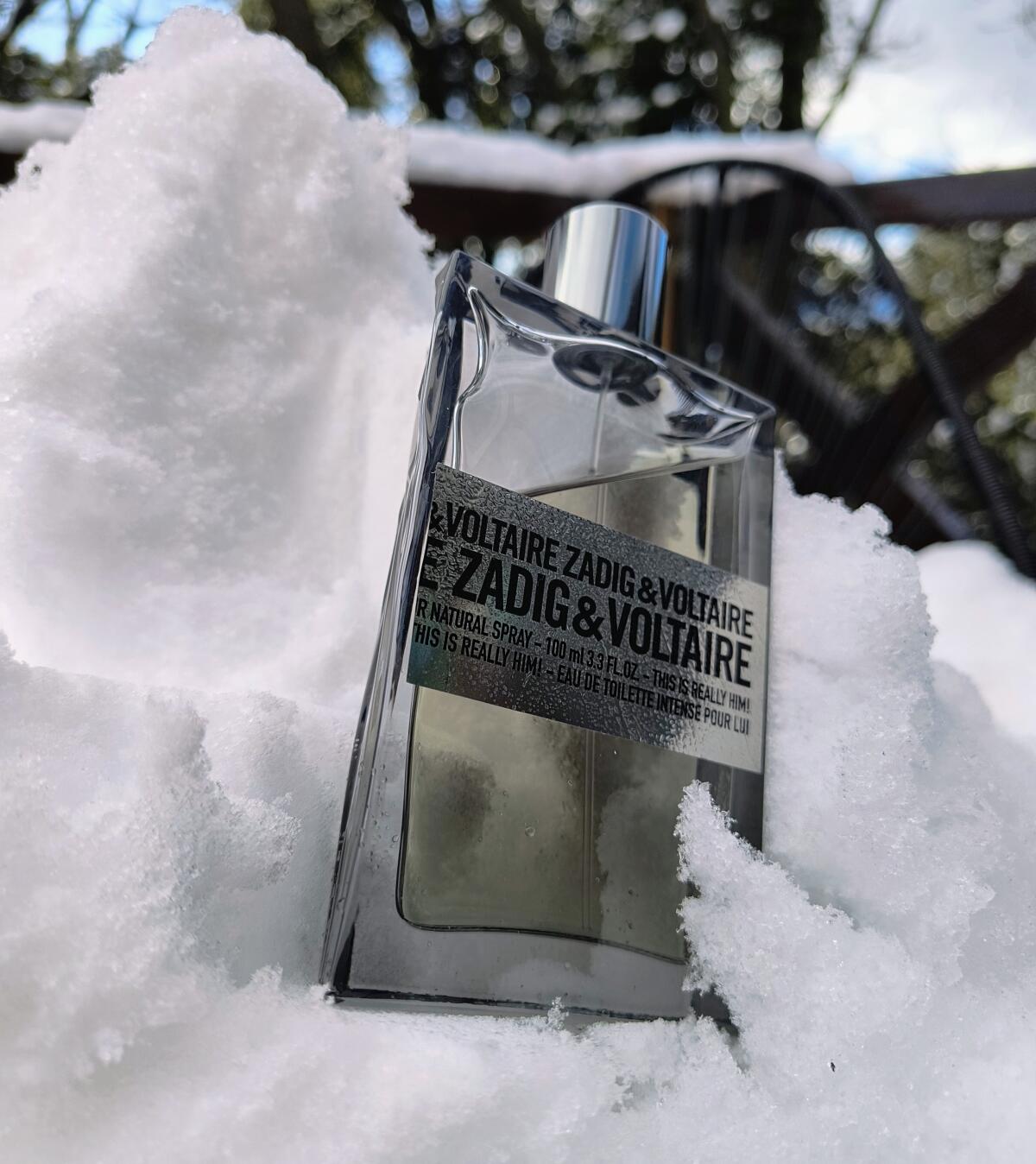 عطر ادکلن دیس ایز ریلی هیم زادیک اند ولتر - This Is Really Him! Zadig & Voltaire - بررسی، قیمت و خرید