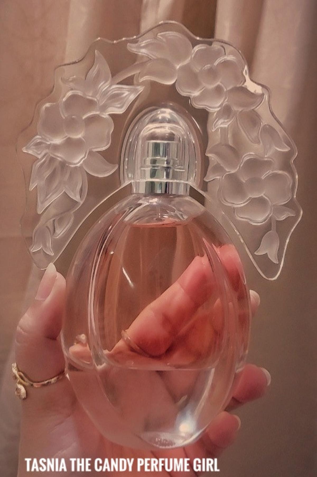 عطر ادکلن وان دی این پرووانس ریانه تردیشن - One Day In Provence Reyane Tradition - بررسی، قیمت و خرید