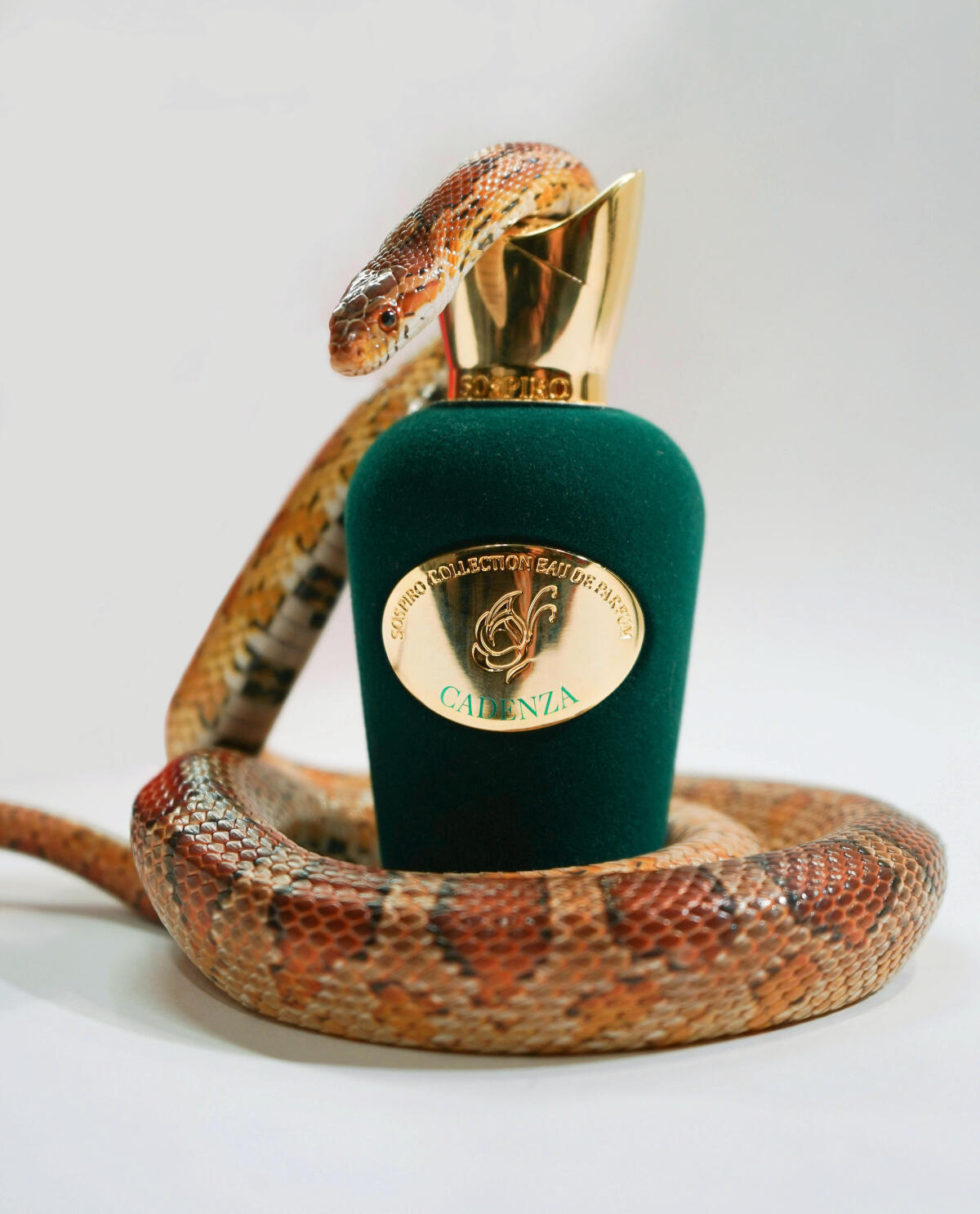 عطر ادکلن کادنزا سوسپیرو پرفیومز - Cadenza Sospiro Perfumes - بررسی، قیمت و خرید