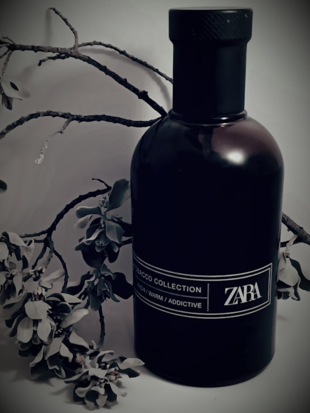 عطر ادکلن تاباکو کالکشن ریچ وارم ادیکتیو زارا - Tobacco Collection Rich Warm Addictive Zara - بررسی، قیمت و خرید