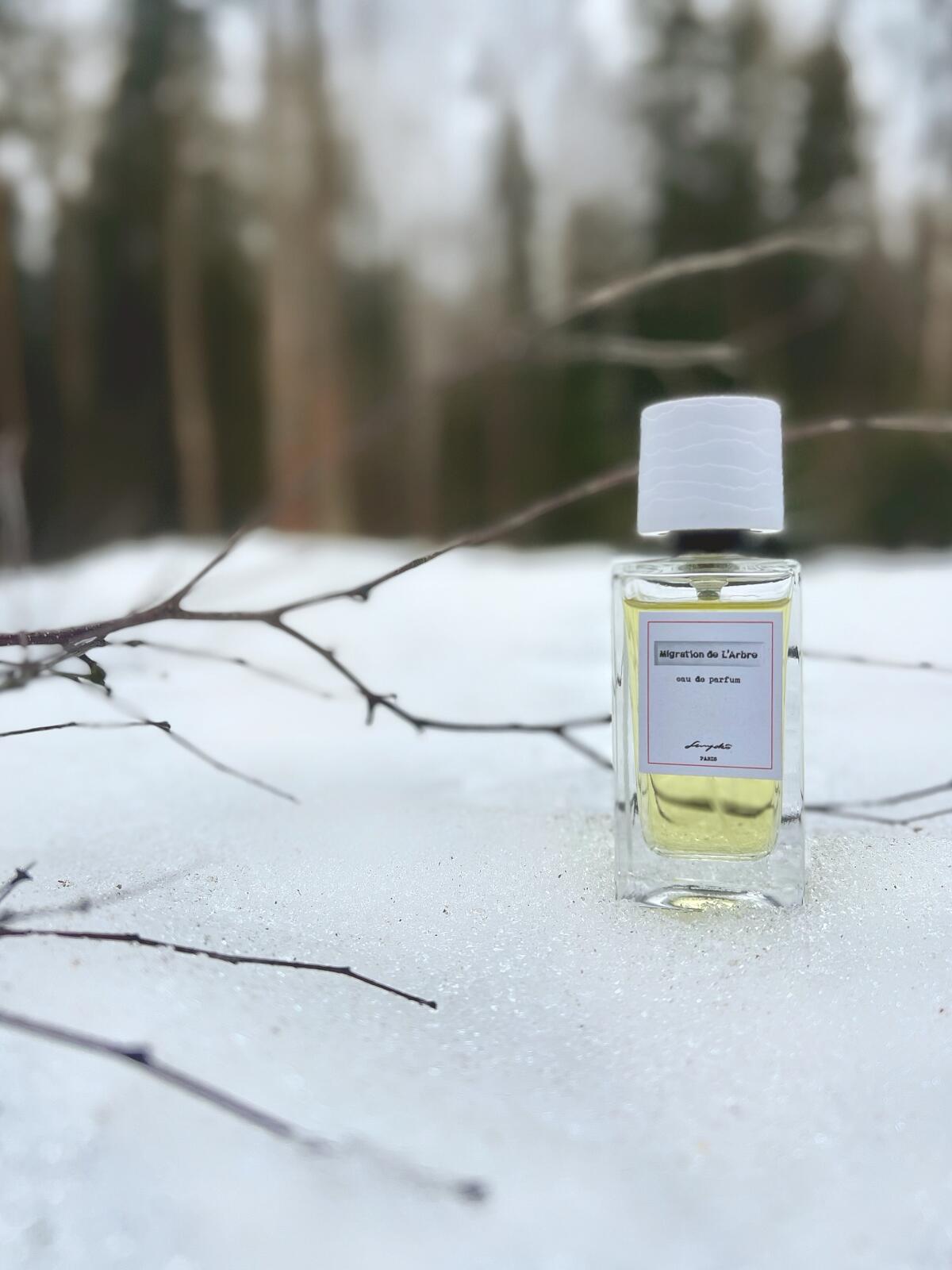 عطر ادکلن مایگریشن د لرب سنیوکو - Migration de L'Arbre Senyokô - بررسی، قیمت و خرید