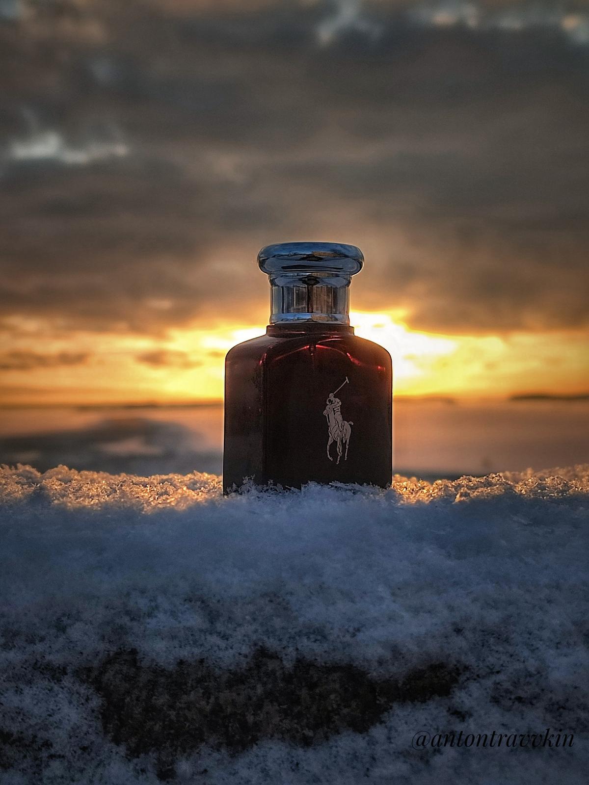 عطر ادکلن پولو بلک رالف لورن - Polo Black Ralph Lauren - بررسی، قیمت و خرید