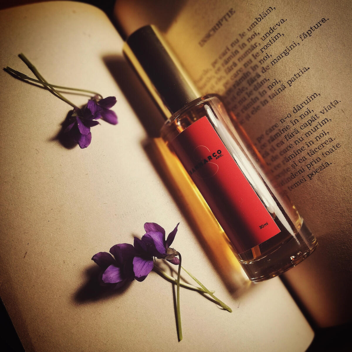 عطر ادکلن اریل سامارکو - Ariel Sammarco - بررسی، قیمت و خرید