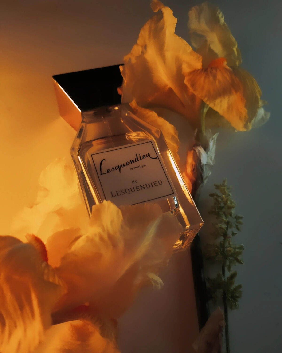 عطر ادکلن عودمار منسفیلد - Oudamar Mansfield - بررسی، قیمت و خرید