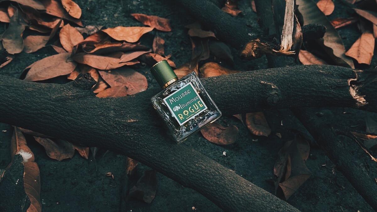 عطر ادکلن موس ایلومی‌نی روگ پرفیومری - Mousse Illuminee Rogue Perfumery - بررسی، قیمت و خرید