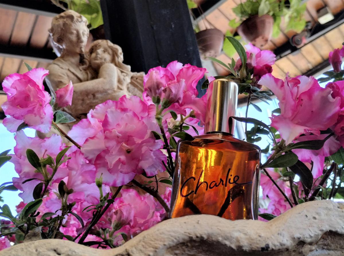 عطر ادکلن چارلی رولون - Charlie Revlon - بررسی، قیمت و خرید