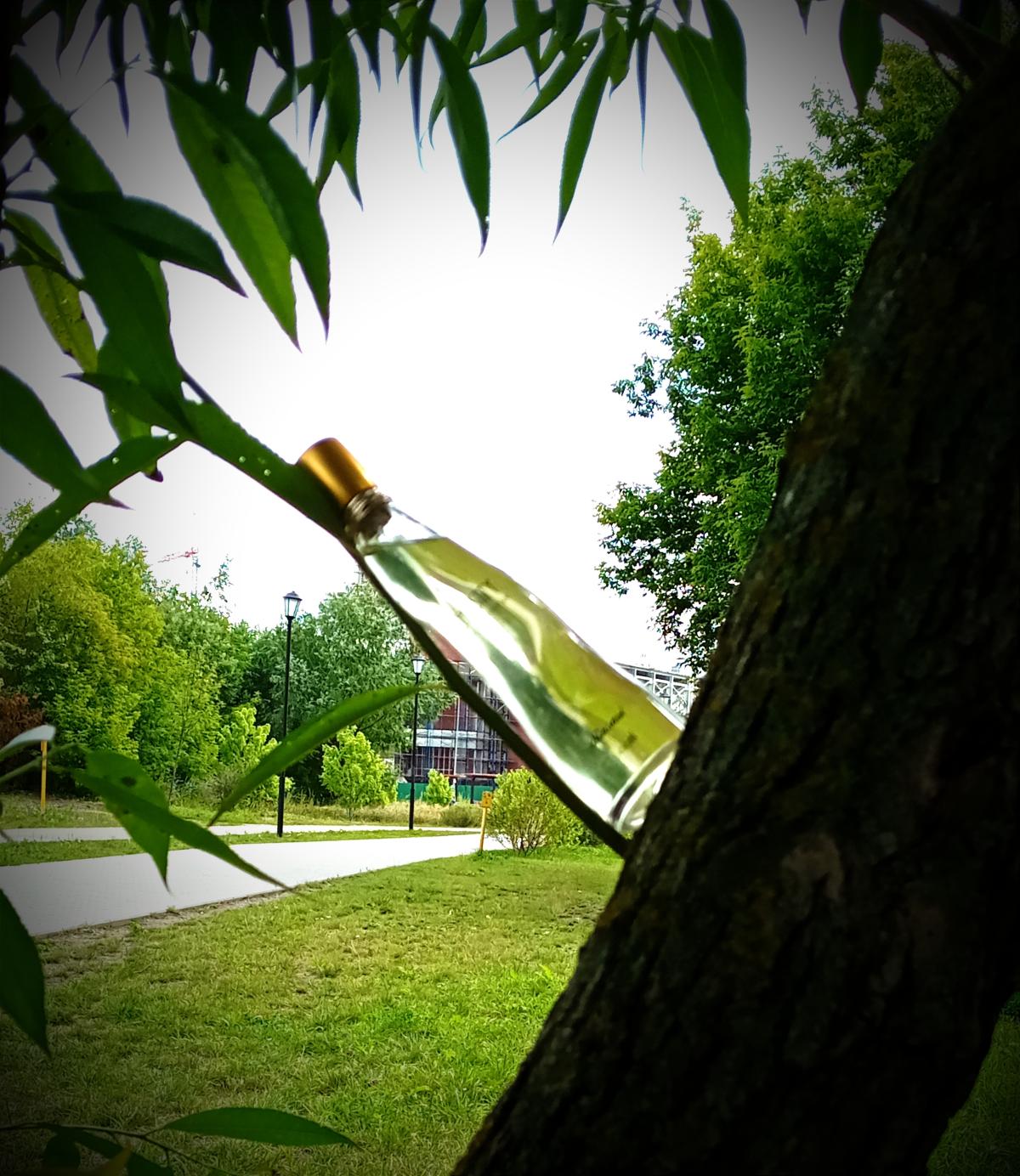 عطر ادکلن چستیتی وومن رسا‌سی - Chastity Women Rasasi - بررسی، قیمت و خرید